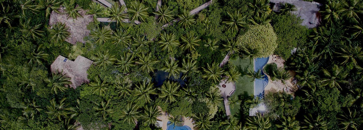 Pousada Toca da Coruja  